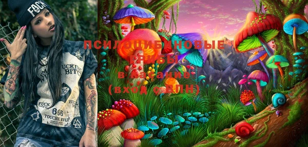 PSILOCYBIN Карпинск