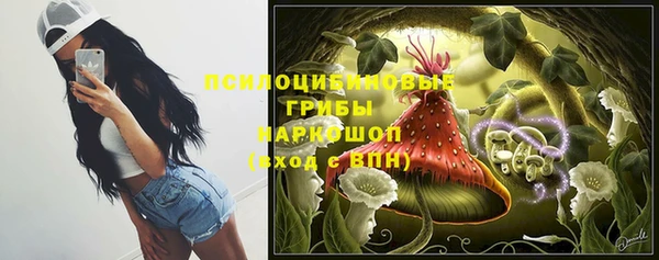 PSILOCYBIN Карпинск