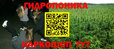 PSILOCYBIN Канаш