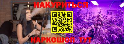 сатива Камышлов