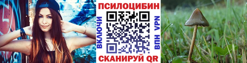 Псилоцибиновые грибы GOLDEN TEACHER Нижнекамск