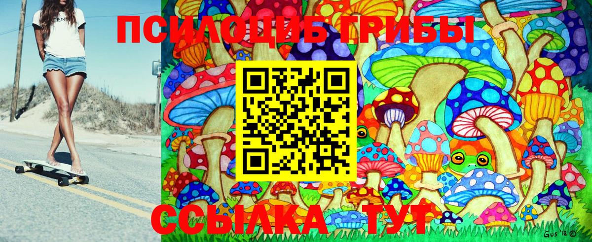 Галлюциногенные грибы GOLDEN TEACHER Нижнекамск