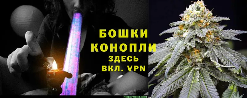 Бошки марихуана THC 21%  mega зеркало  Нижнекамск 